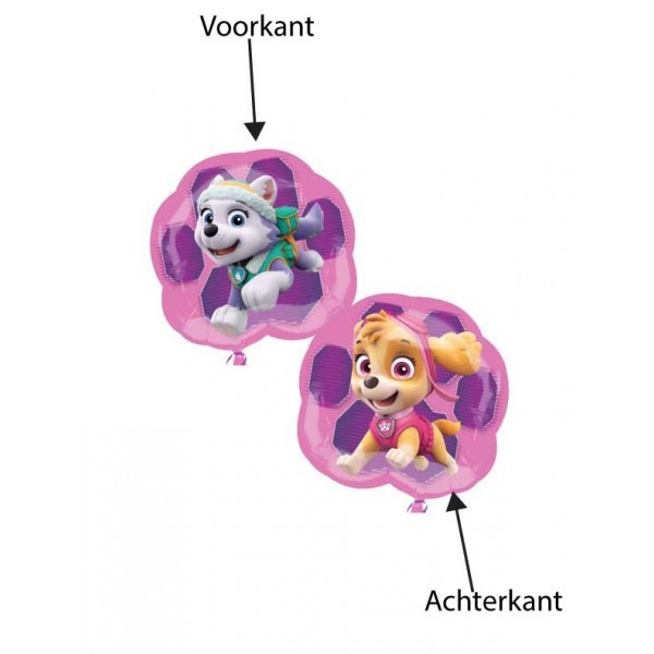Paw Patrol Girls Skye & Everest - 63cm x 58cm - Anagram