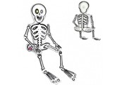 SALE > Sitting - Skeleton Multi Balloon - A45cm x 66cm