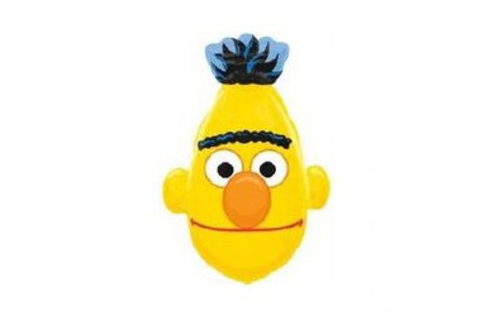 Bert Hoofd - 38cm x 66cm - Street Treats