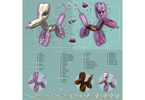 Anatomical Illustration of a Balloon Dog by Jason Freeny