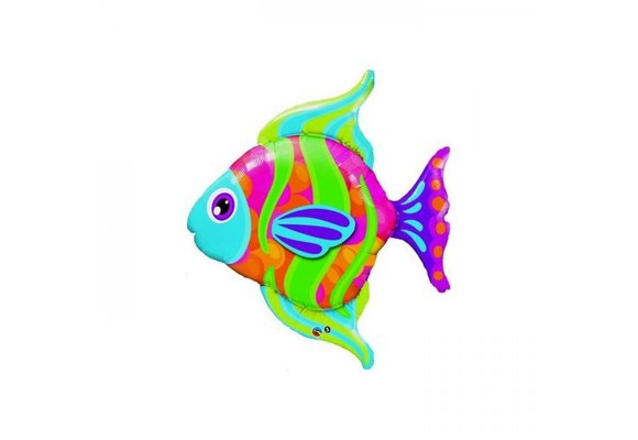 SALE > Fashionable Fish - 43 inch - Qualatex.