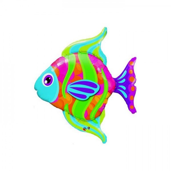 Fashionable Fish - Q43"/110cm