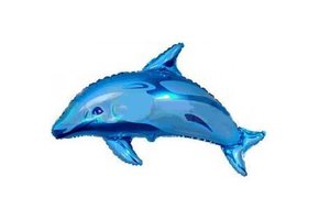 Dolphin Ocean Blue - 24 inch - Street Treat