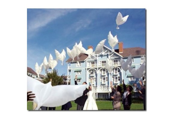 Wishing Wedding Dove - 102cm x 45cm