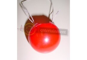 Clownsneus plastic met elastiek