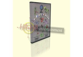 Fabrizio Bolzone - Vol 2 Ballooncreations - DVD