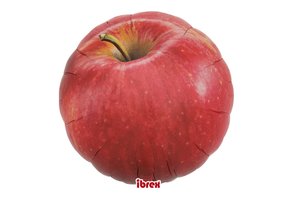 Apple - 14 inch - Ibrex