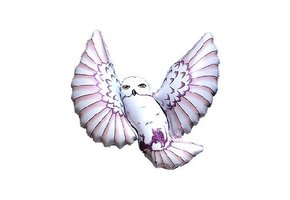 Snow Owl - 24 inch - Flex