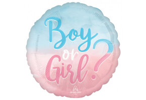 Girl or Boy - Ombre Blue/Pink - 18 inch - Anagram