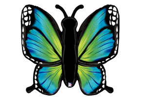 Butterfly Radiant - Blue - B46"