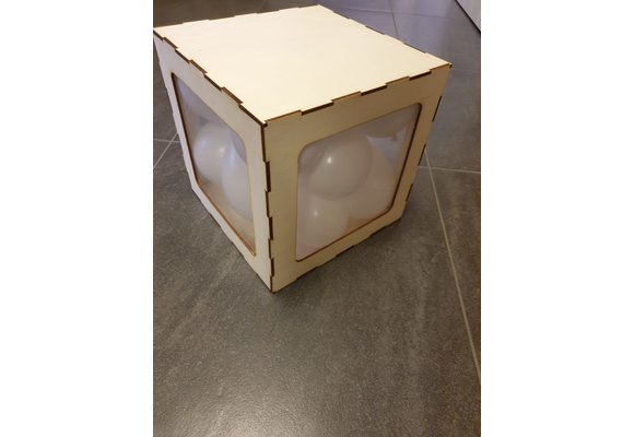 Balloon Box -  Hout - leeg geleverd