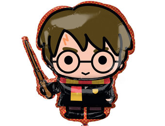 Harry Potter - 63cm x 78cm - Anagram