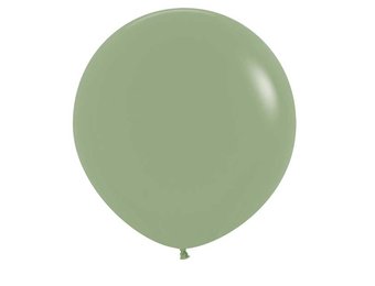 R18 - Eucalyptus 027 - 25 Stuks