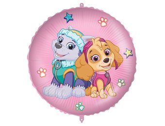Paw Patrol Skye and Everest - 18"/45cm