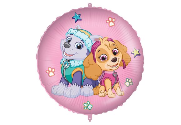 Paw Patrol Skye and Everest - 18"/45cm