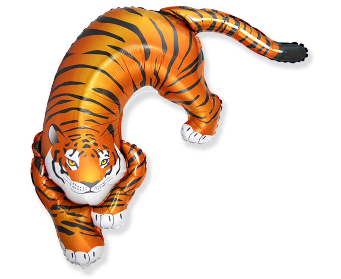 Wild Tiger - FX24"/61cm