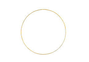 SALE > FRAME - Circle - 35cm - Metallic Wedding Hoop