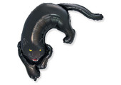 Black Panther - FX24"/61cm