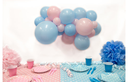 DIY Balloon Kit - Organic - Gender Reveal