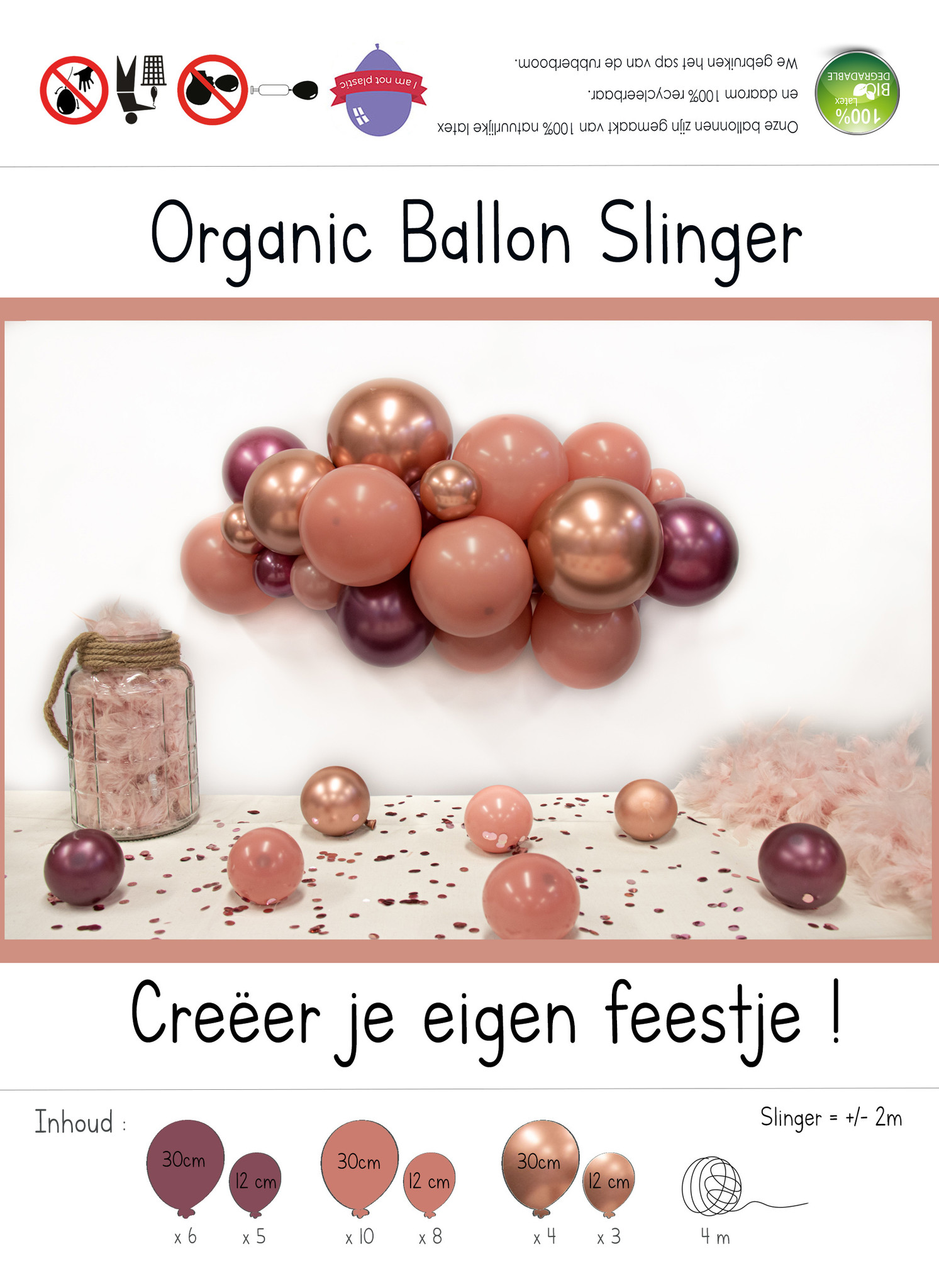 DIY Balloon Kit - Organic - Rosewood