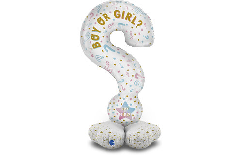 Stand Up - Question Marks Gender - Grabo 47 inch