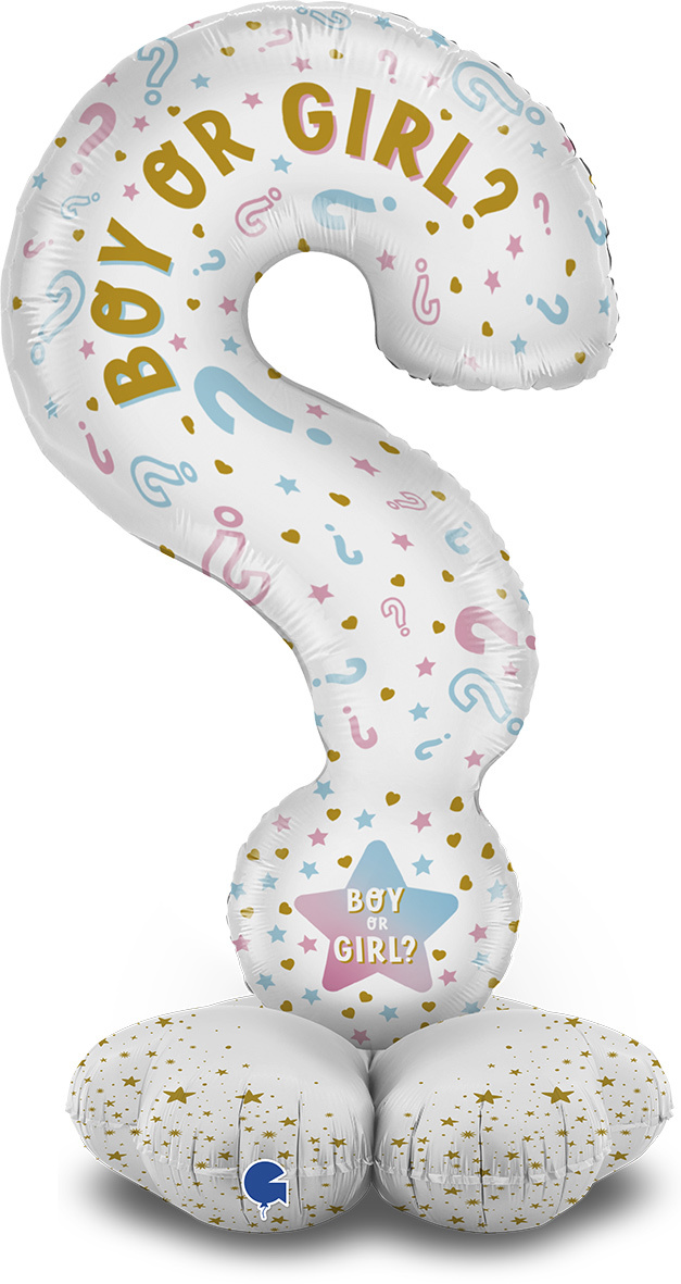 Stand Up - Question Marks Gender - Grabo 47 inch