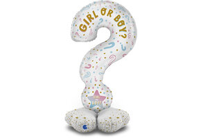 Stand Up - Question Marks Gender - Grabo 47 inch