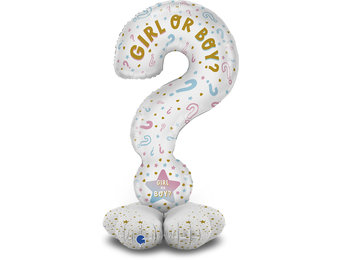 Stand Up - Question Marks Gender - Grabo 47 inch