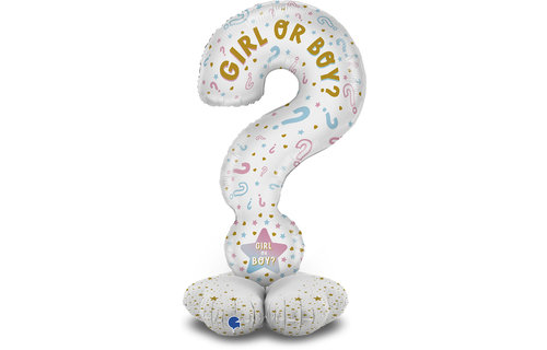 Stand Up - Question Marks Gender - Grabo 47 inch