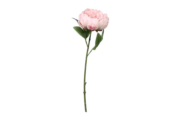 Peonie - Pink - 2 stuks