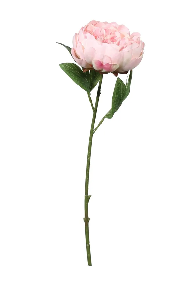 Peonie - Pink - 2 stuks