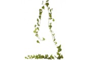 English Ivy Garland - Green - 180cm