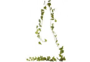 English Ivy Garland - Green - 180cm