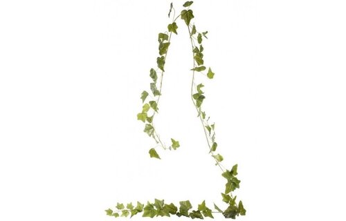 English Ivy Garland - Green - 180cm