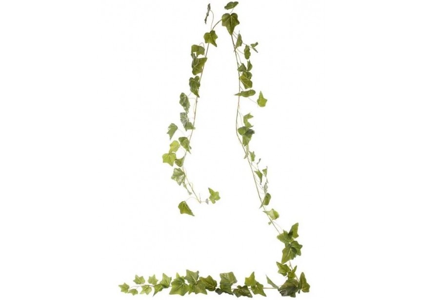 English Ivy Garland - Green - 180cm