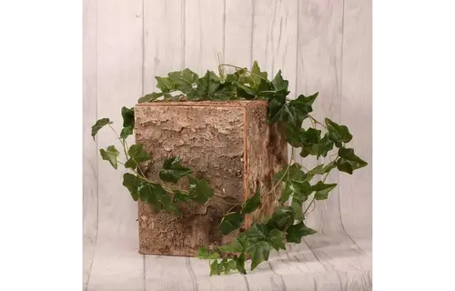 English Ivy Garland - Green - 180cm