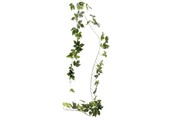 Vine Garland - Green - 2m
