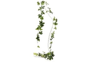 Vine Garland - Green - 2m