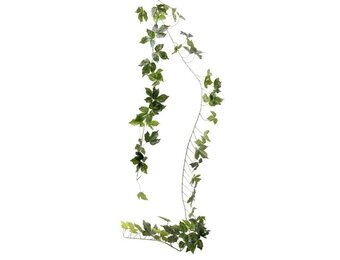 Vine Garland - Green - 2m