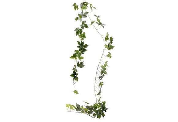 Vine Garland - Green - 2m