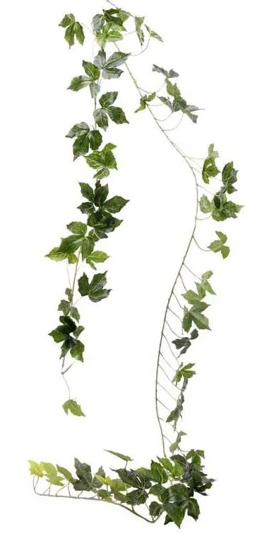 Vine Garland - Green - 2m