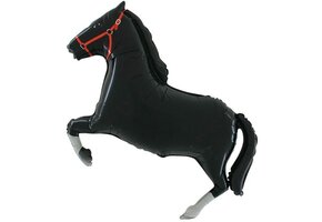 Paard/Horse - Zwart/Black - Grabo - 32 inch