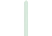 Nozzle Up - 260  - Pastel Matte Green 630 - 50 Stuks