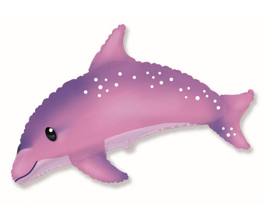 Dolphin Sweet Pink - 24 inch - Flex