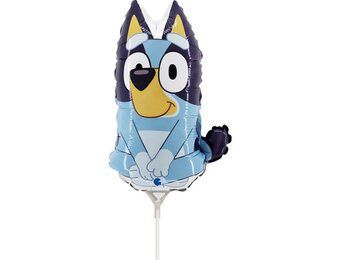 MICRO - Bluey - 14 inch - Anagram