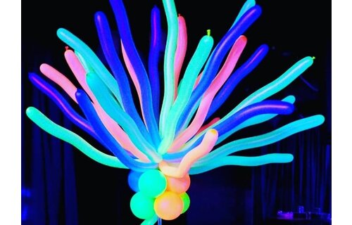 Nozzle Up - Sempertex 260 - Neon Assortiment 200 - 50 pc