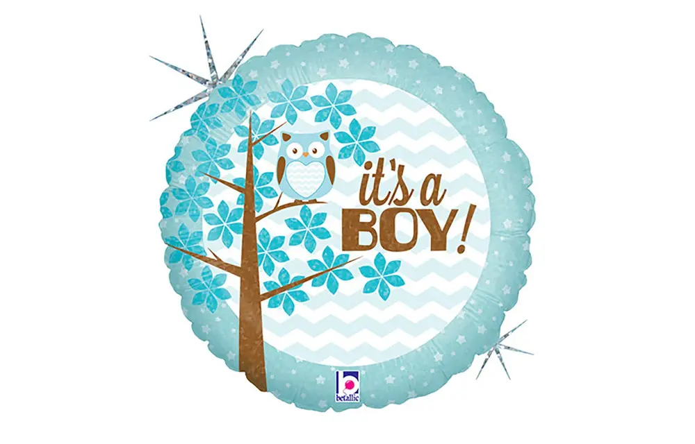 It's A Baby Boy Owl - 18 inch - Betallic