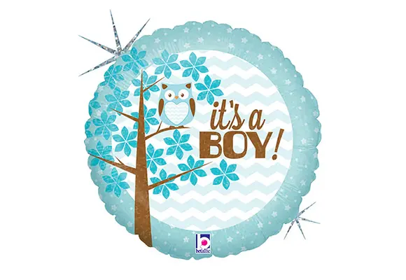 It's A Baby Boy Owl - 18 inch - Betallic