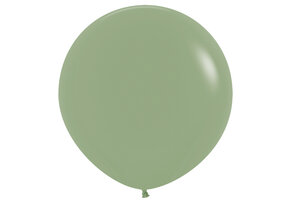 R36 - Eucalyptus 027 - 2 Stuks