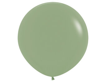 R36 - Eucalyptus 027 - 2 Stuks